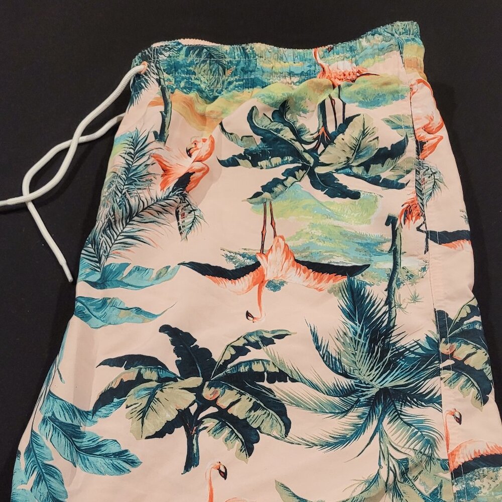 Men's swim shorts